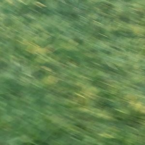 Meet your Posher, Yousef